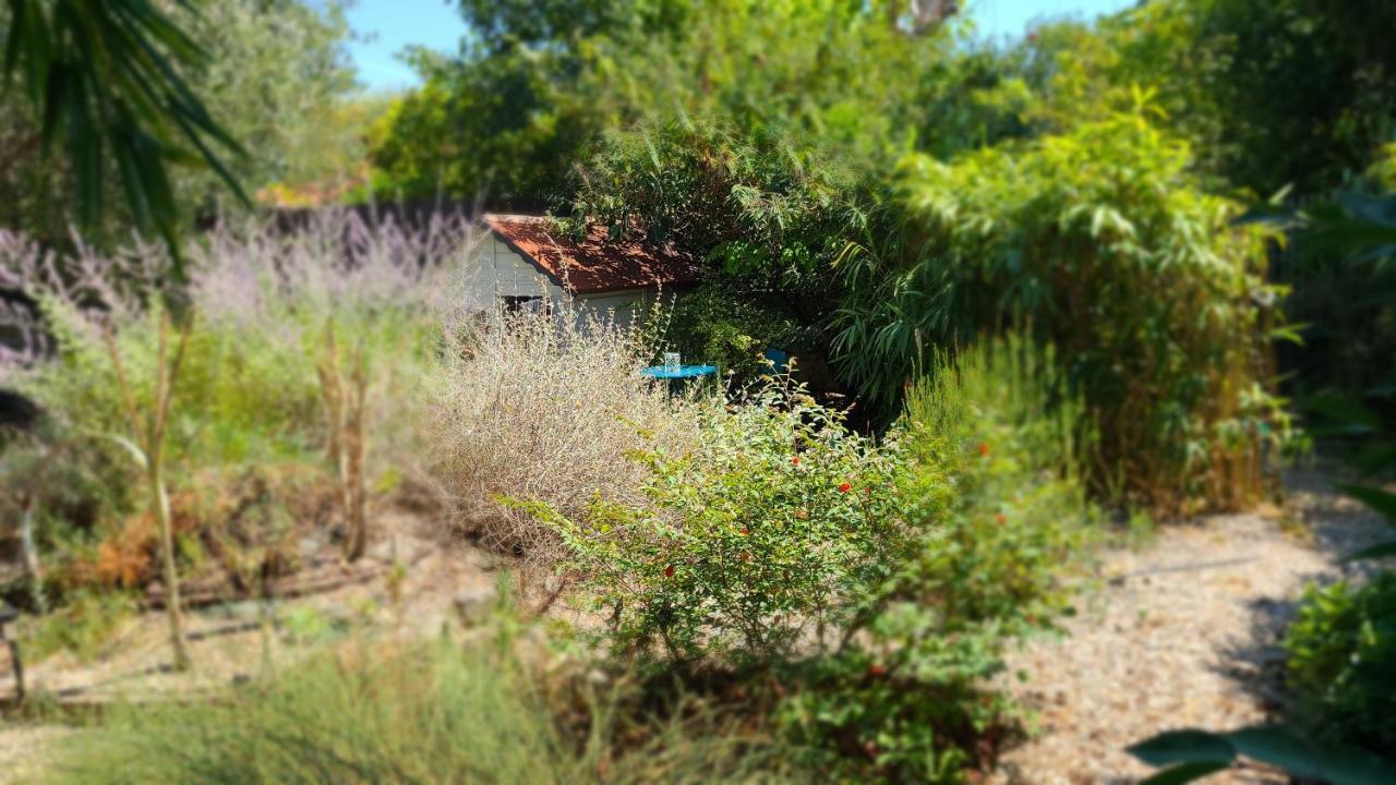 モンペリエChez Nous Dans Notre Petit Jardinアパートメント エクステリア 写真